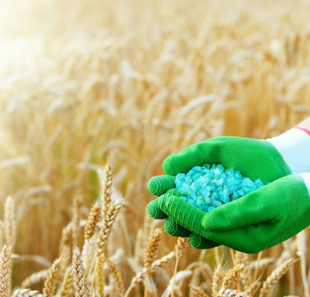 FERTILIZER