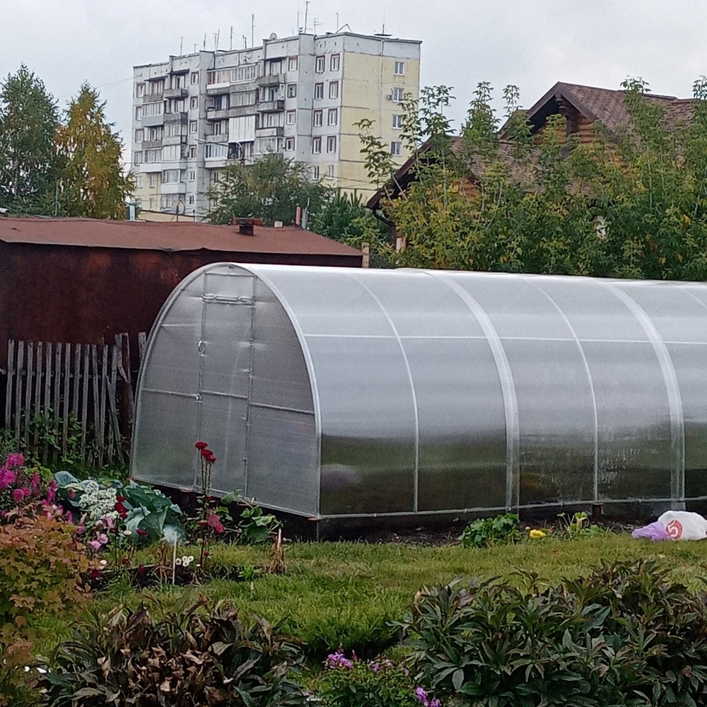 Теплица "Кузбасская" с сотовым поликарбонатом