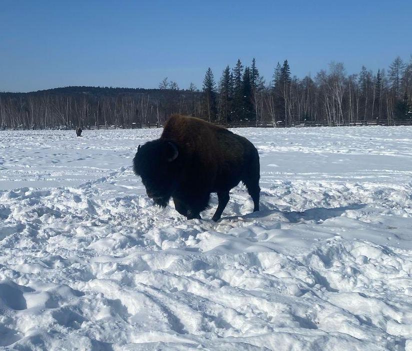 Программа