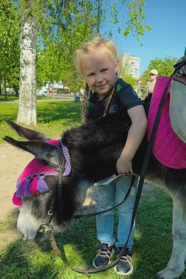 Оленья ферма, верховая езда, и экоферма