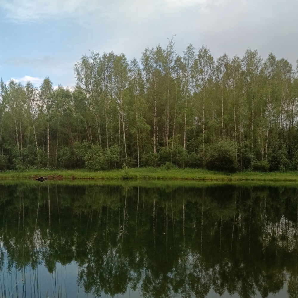 Вело- и пешие прогулки 