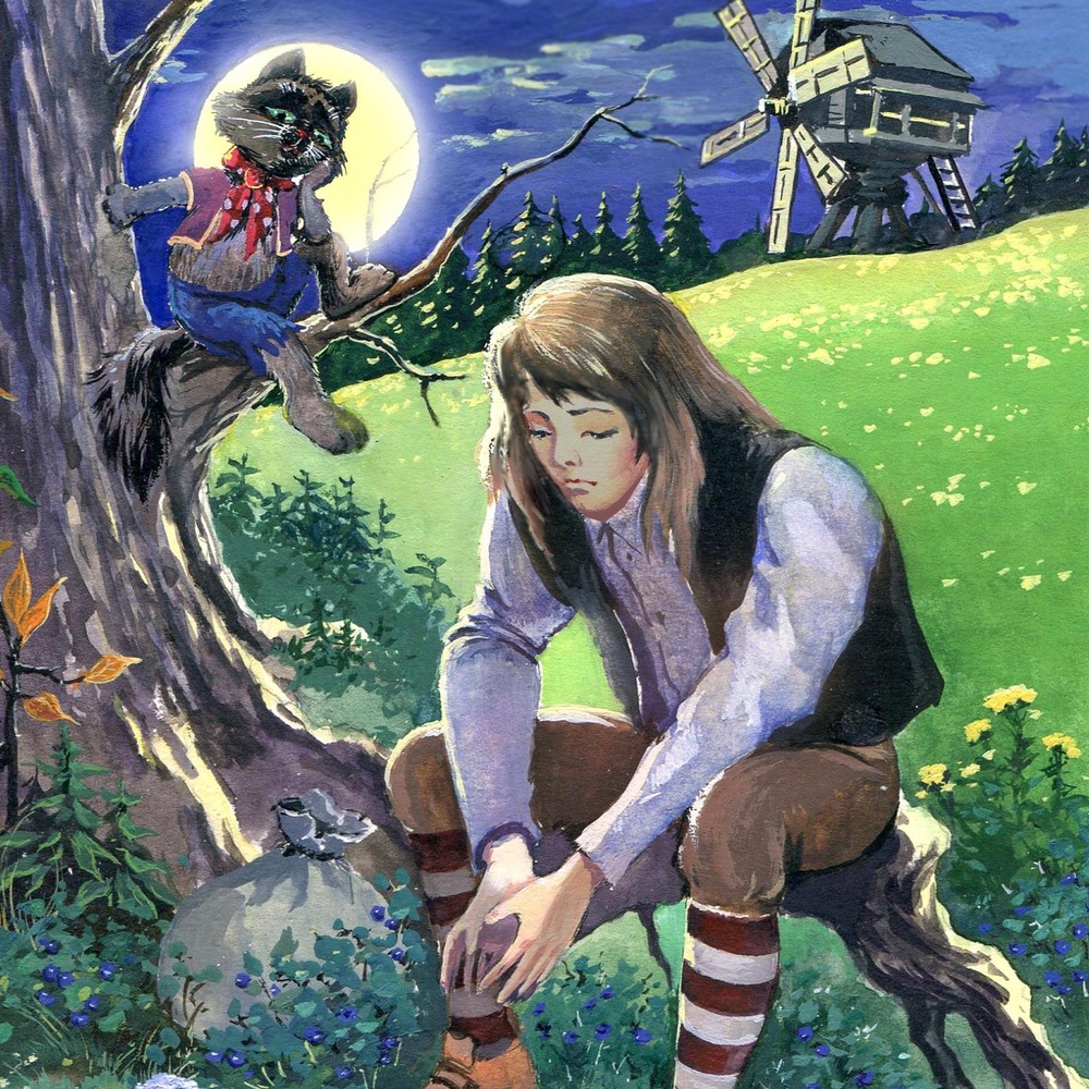 Книга "Кот в сапогах"