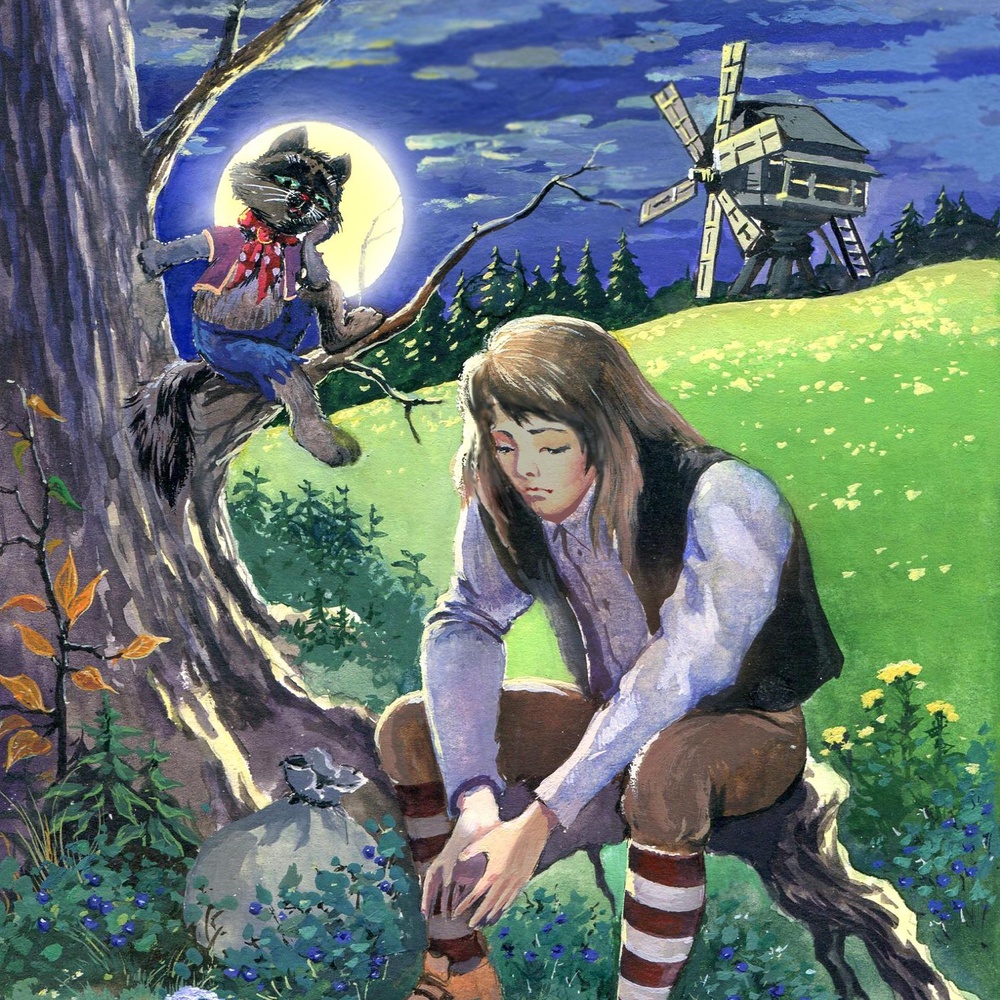 Книга
 "Кот в сапогах".