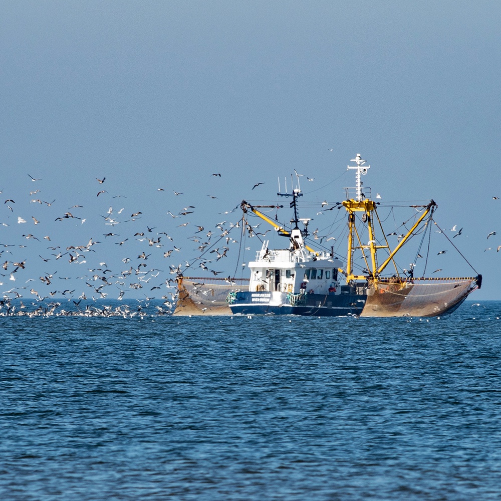 Commercial Fishing 