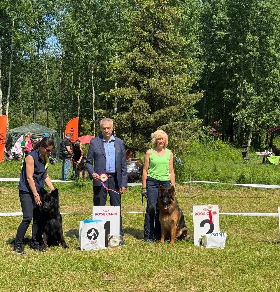 15.06.2025 г. Великий Новгород 
"Кубок Новгородского Кремля" 
судья Федоров В. 