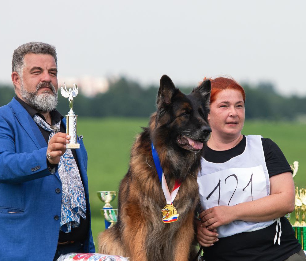 12.07.2025 г. Санкт-Петербург 
Монопородная выставка НО "Мелодии белых ночей"
судья Gabriel Stibel (Македония)