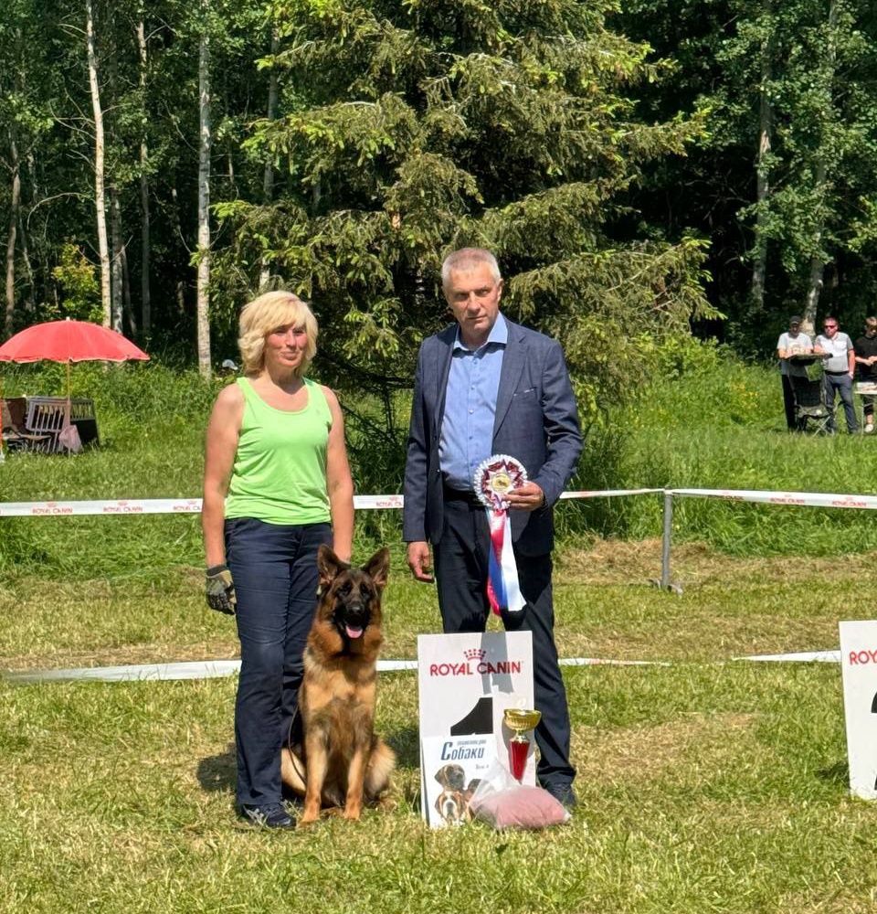 15.06.2025 г. Великий Новгород 
"Кубок Новгородского Кремля" 
судья Федоров В. 