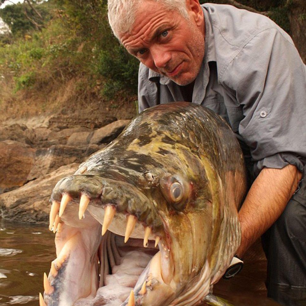 Впервые! Рыбалка на диких реках Африки!