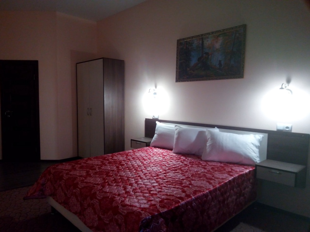 Отель "Репин"