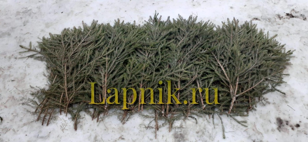 386d9854-aaf6-4ecd-8743-2e4396876877-1000280842.jpg