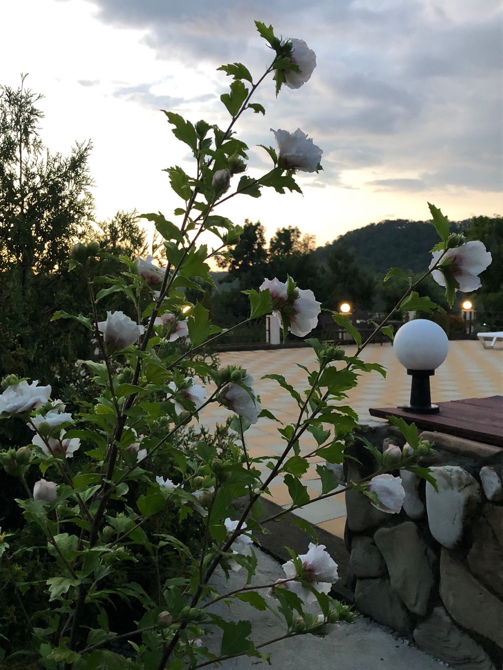 О ценах на проживание: