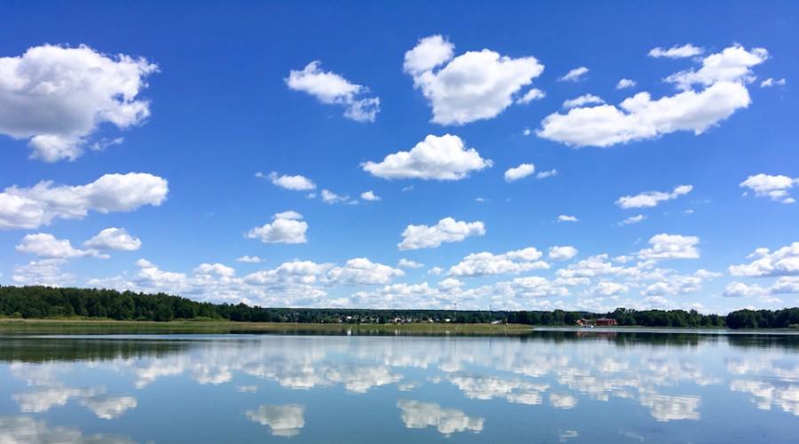 Restoration of the water body ecosystem
