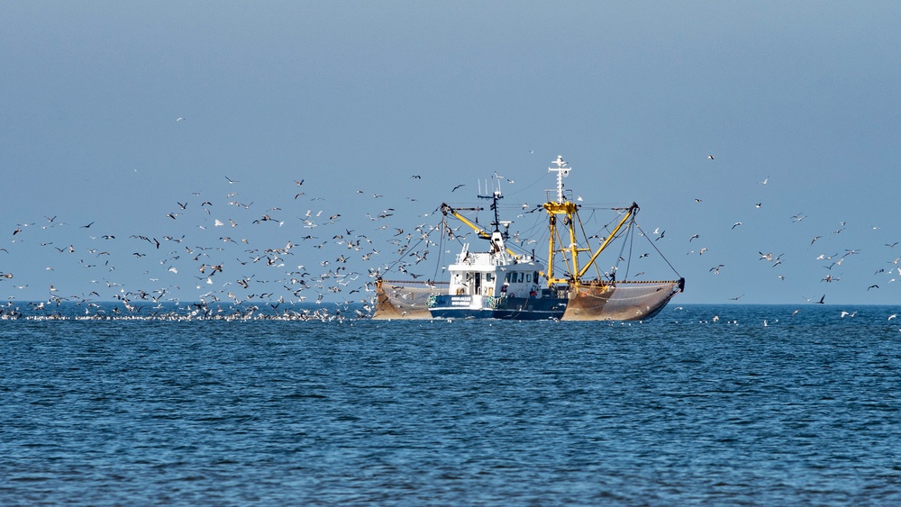 Commercial Fishing 