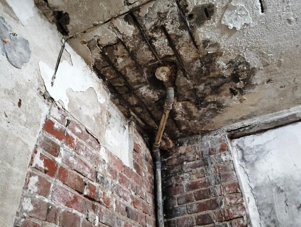 Советская 31