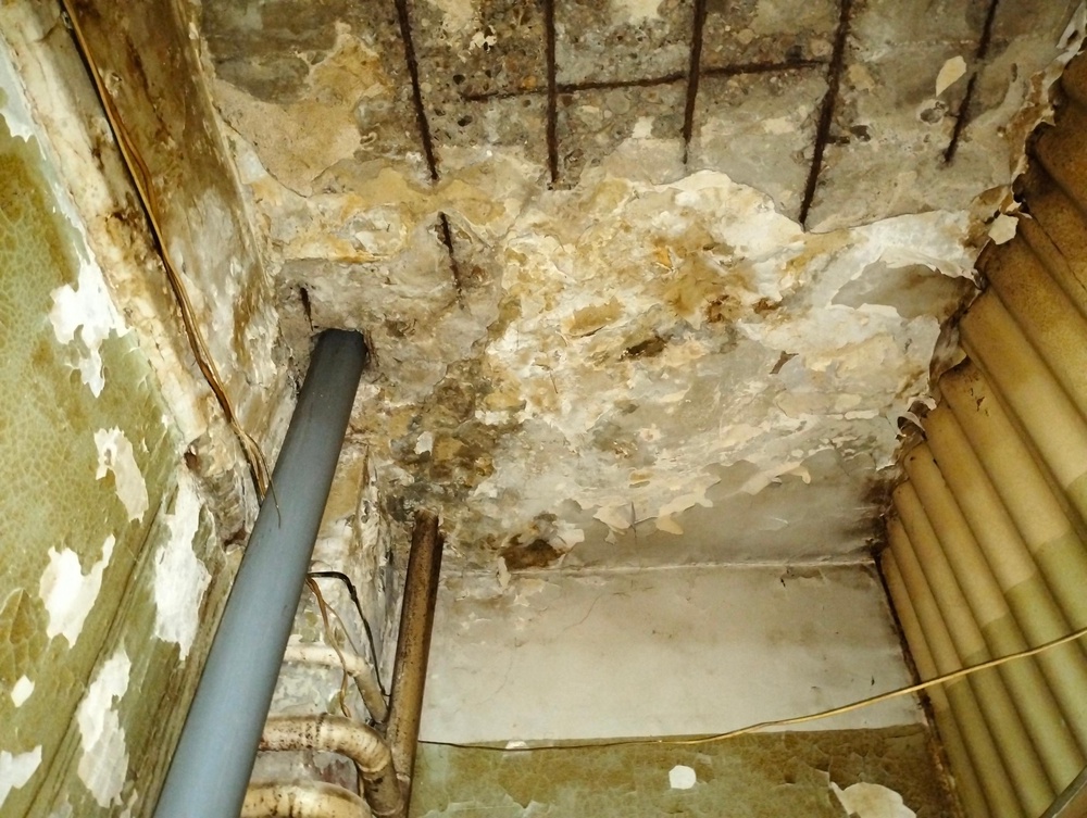 Советская 31