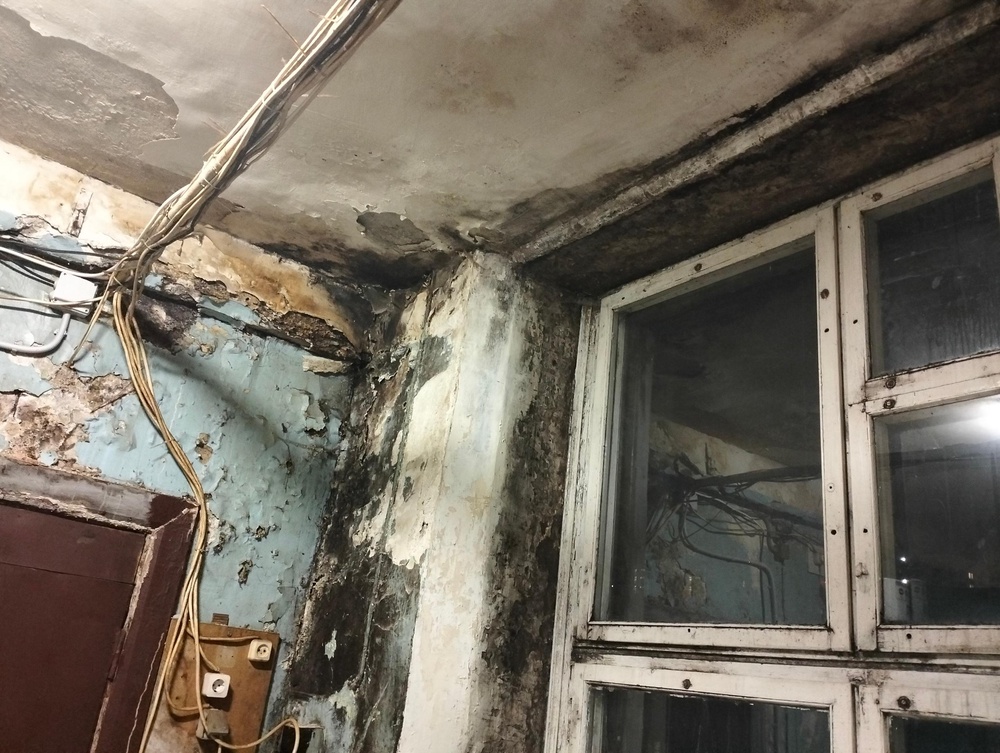 Советская 31