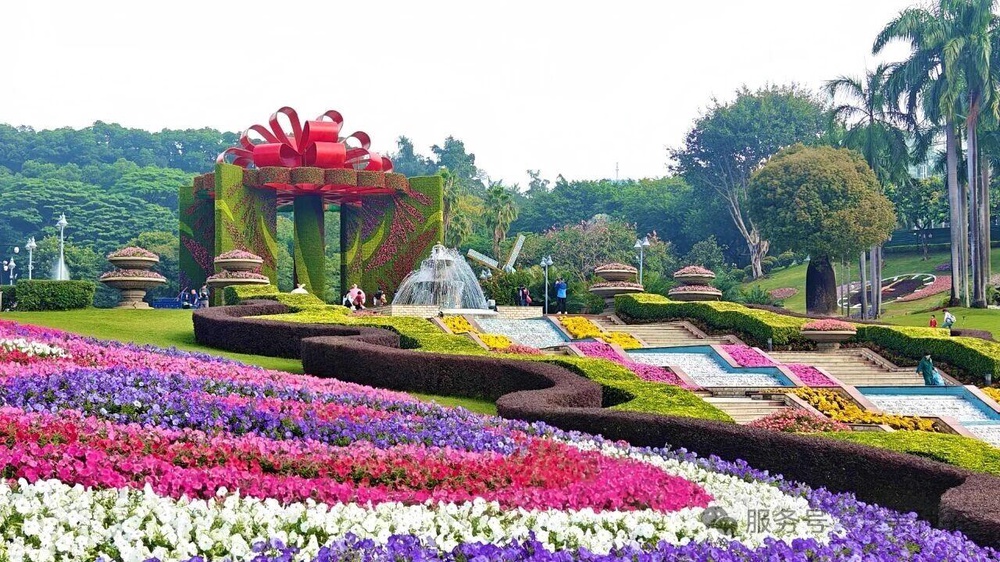 Единение с природой, исцеление души: пациенты международного онкологического центра отправились на теплую экскурсию в сад «Юньтай»