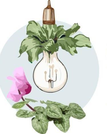 Сайт скоро заработает