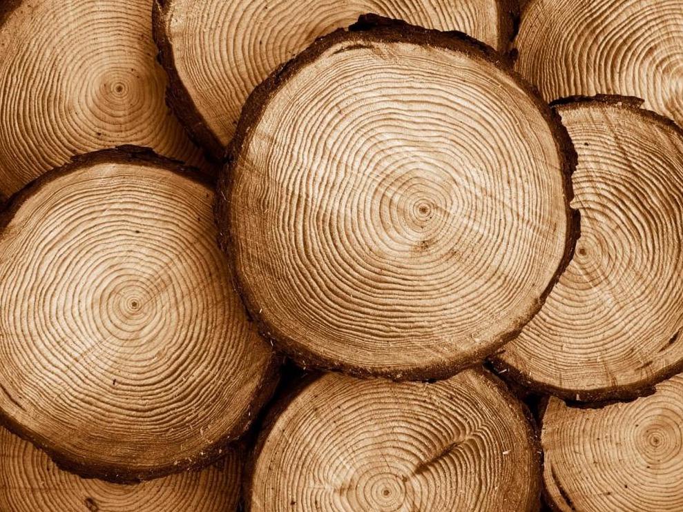 Семейная Мастерская Аврамовых.