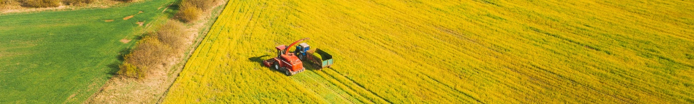 835a07fb-c8ac-4f8a-a5e7-1da3b6f48508-дизайн без названия — копия.jpeg