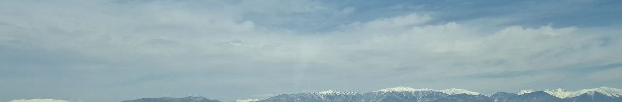 7840a30f-65c8-4cc6-ad63-16165994a46e-photo_2025-03-12_14-48-07_11zon.jpg
