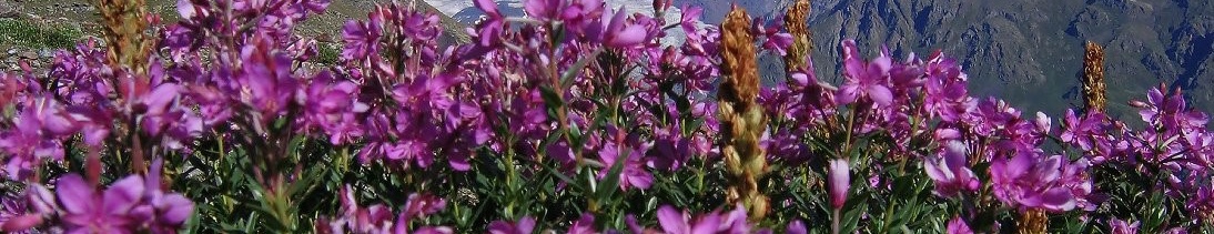 29633d59-cd0f-4204-b16a-19436f120198-основное кавказ и краснодарский край.jpg