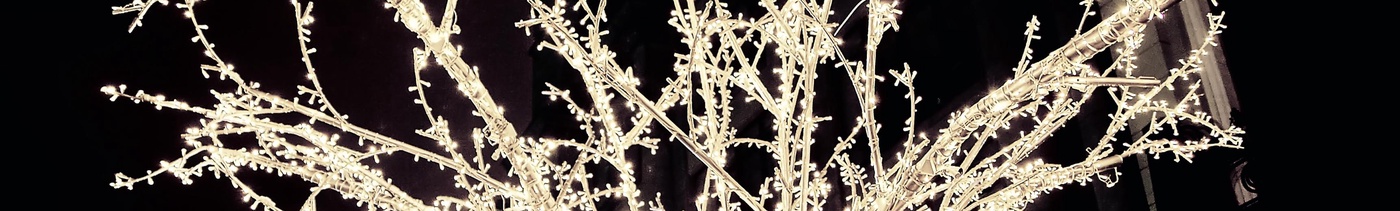 e182a23c-bdc4-4ce2-ac5a-06e6bb6f6b65-foto-ulicnogo-fona-v-sneznuu-noc-s-rozdestvenskimi-ognami (1).jpg