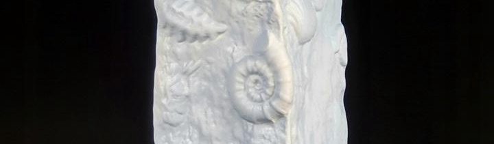 4f34c1e8-89c7-4d43-8e35-04ded5773a96-biskwitowy-porcelanowy-wazon-skamieliny.jpg