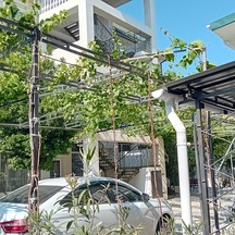 image-1-4