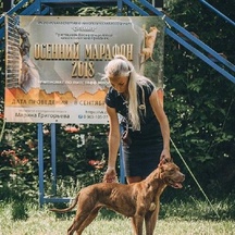 image-0-2