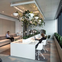 image-4-1