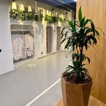 image-4-4