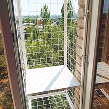 image-6-4