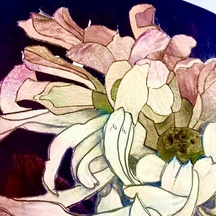 image-0-1