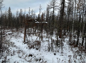 image-2-2