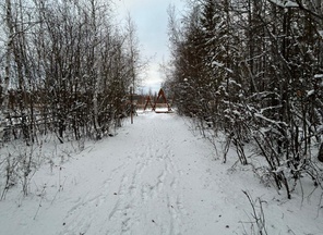 image-2-3