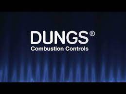 DUNGS