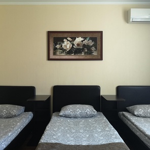 Номер №9 Стандарт с Тремя кроватями (90+90+90см) до 3-х гостей + доп. место