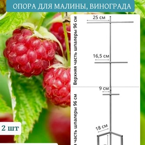 Опоры для растений