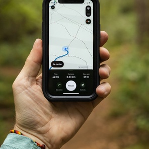 Международный