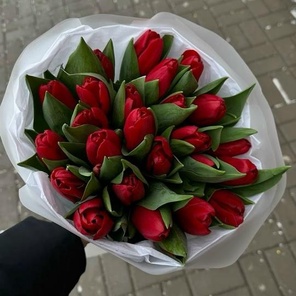 Весеннее дыхание