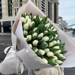 101 тюльпан