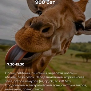 Кхао Кхео лучьшый зоопарк Азии