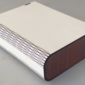 Белый кейс с элементами венге