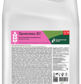 Проксима, КС