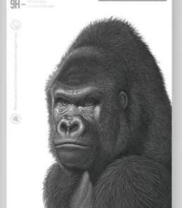 Gorilla Glass iPhone 15/16