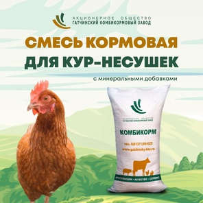 Смесь кормовая для кур-несушек