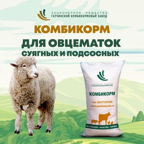 ОК-80 Для суягных и лактирующих овец