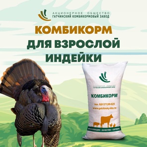 ПК-10 Для взрослых индеек