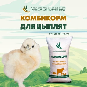 ПК-3 - комбикорм для молодняка кур от 8 до 13 недель